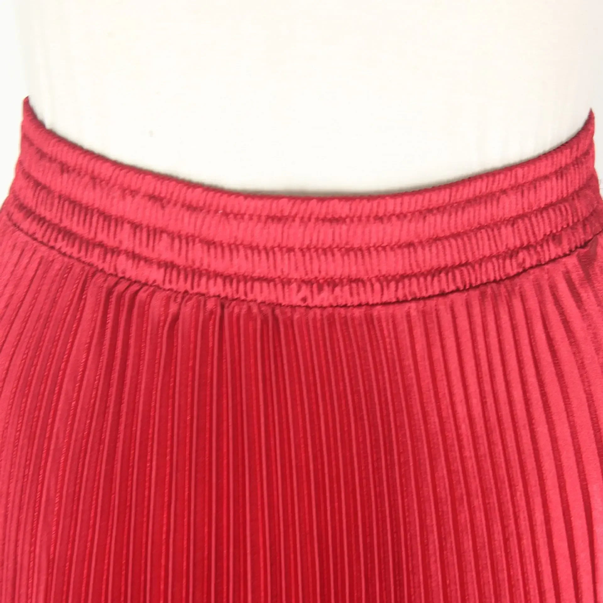 Women's Long Dress Skirt  Pleated  Long Accordion Skirt