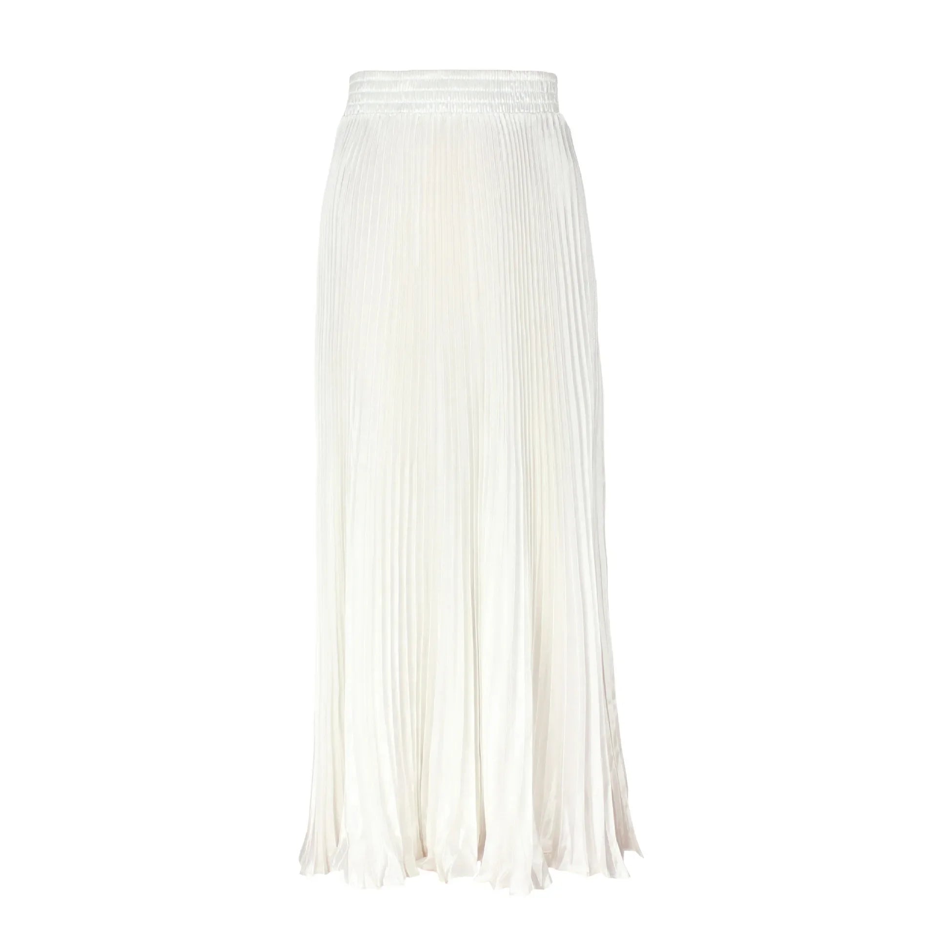 Women's Long Dress Skirt  Pleated  Long Accordion Skirt