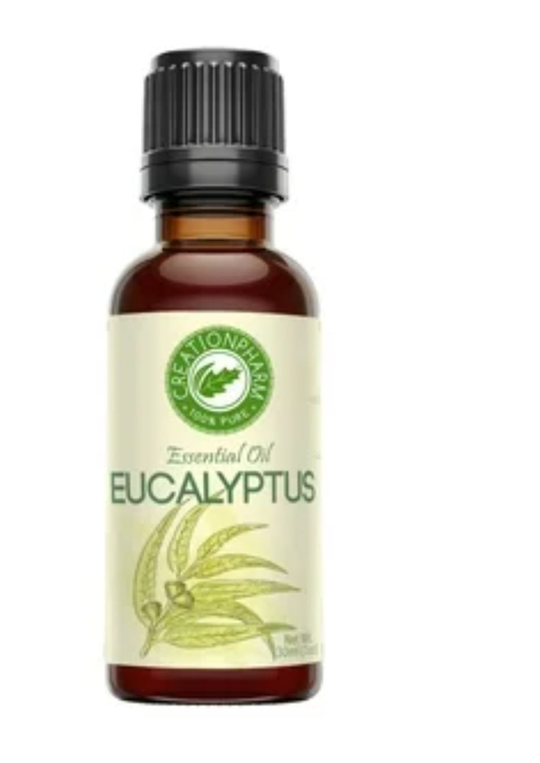 Eucalyptus Oil